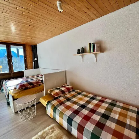 The Alpine By The Slopes & Frience 公寓 *