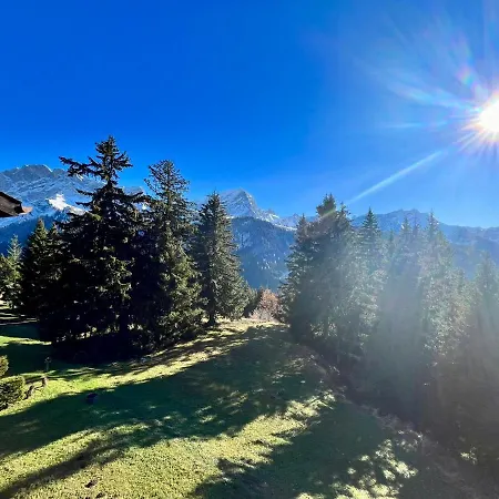The Alpine Proche Du Frience, Chiens Admis, Parking Prive