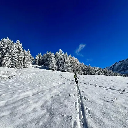 The Alpine By The Slopes & Frience Gryon