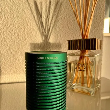 The Alpine By The Slopes & Frience 公寓 格里翁