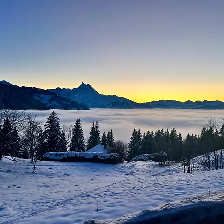 The Alpine By The Slopes & Frience Appartement *