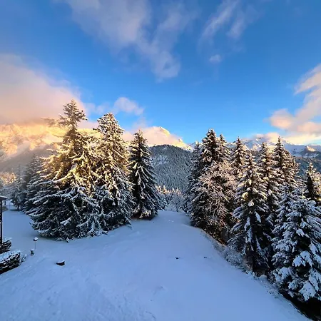 公寓 The Alpine By The Slopes & Frience