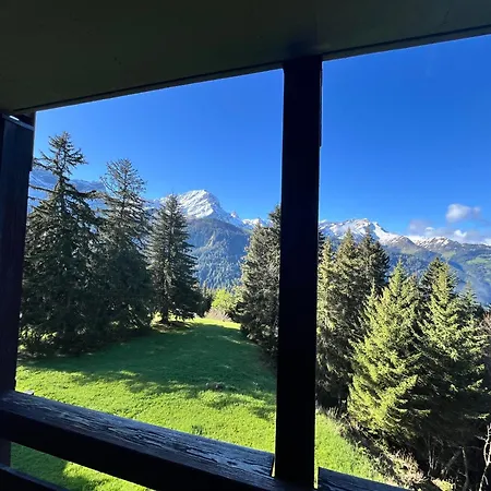 Apartamento The Alpine Proche Du Frience, Chiens Admis, Parking Prive *