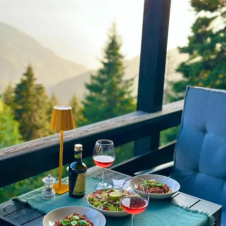 公寓 The Alpine By The Slopes & Frience