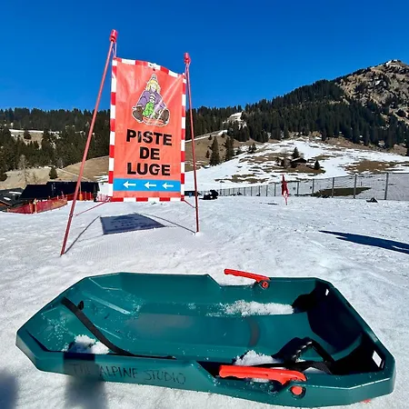 The Alpine By The Slopes & Frience * Gryon