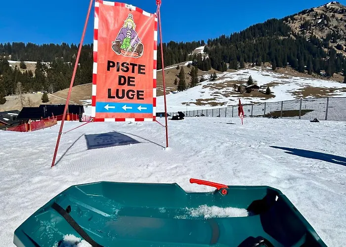 The Alpine By The Slopes & Frience * Gryon