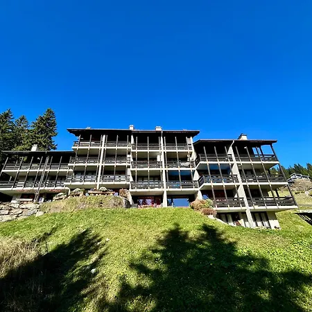 The Alpine By The Slopes & Frience Апартаменты *