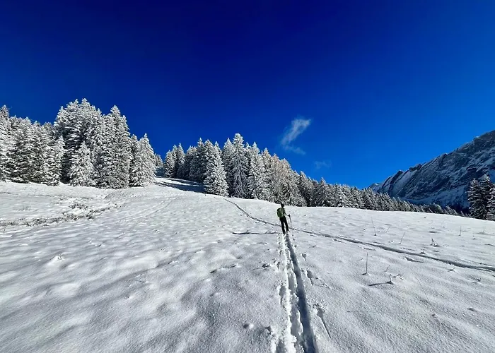 The Alpine By The Slopes & Frience Грион